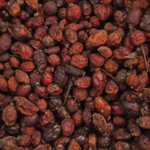 Шиповник  Элита