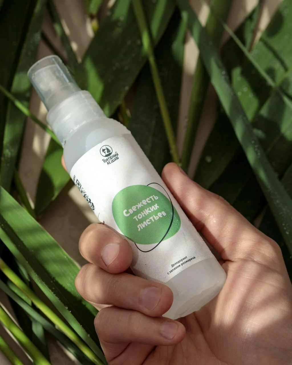 Дезодорант "Свежесть тонких листьев" зв — изображение 3